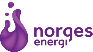 NorgesEnergi strøm logo